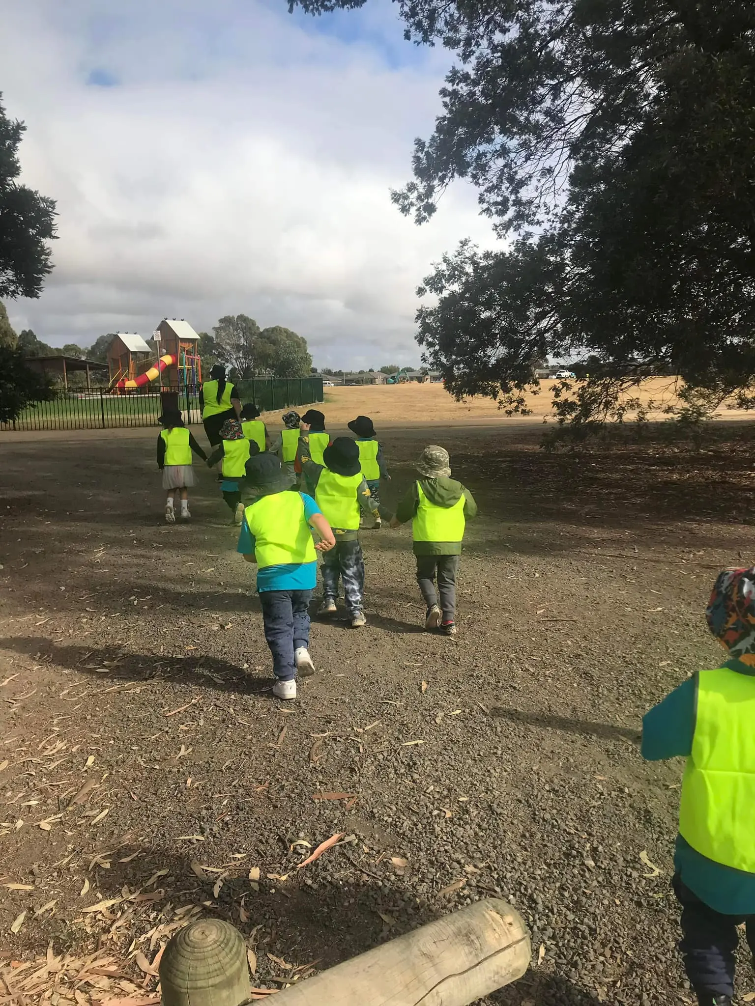 Kindergarten children on a bush walk in hi vis vests