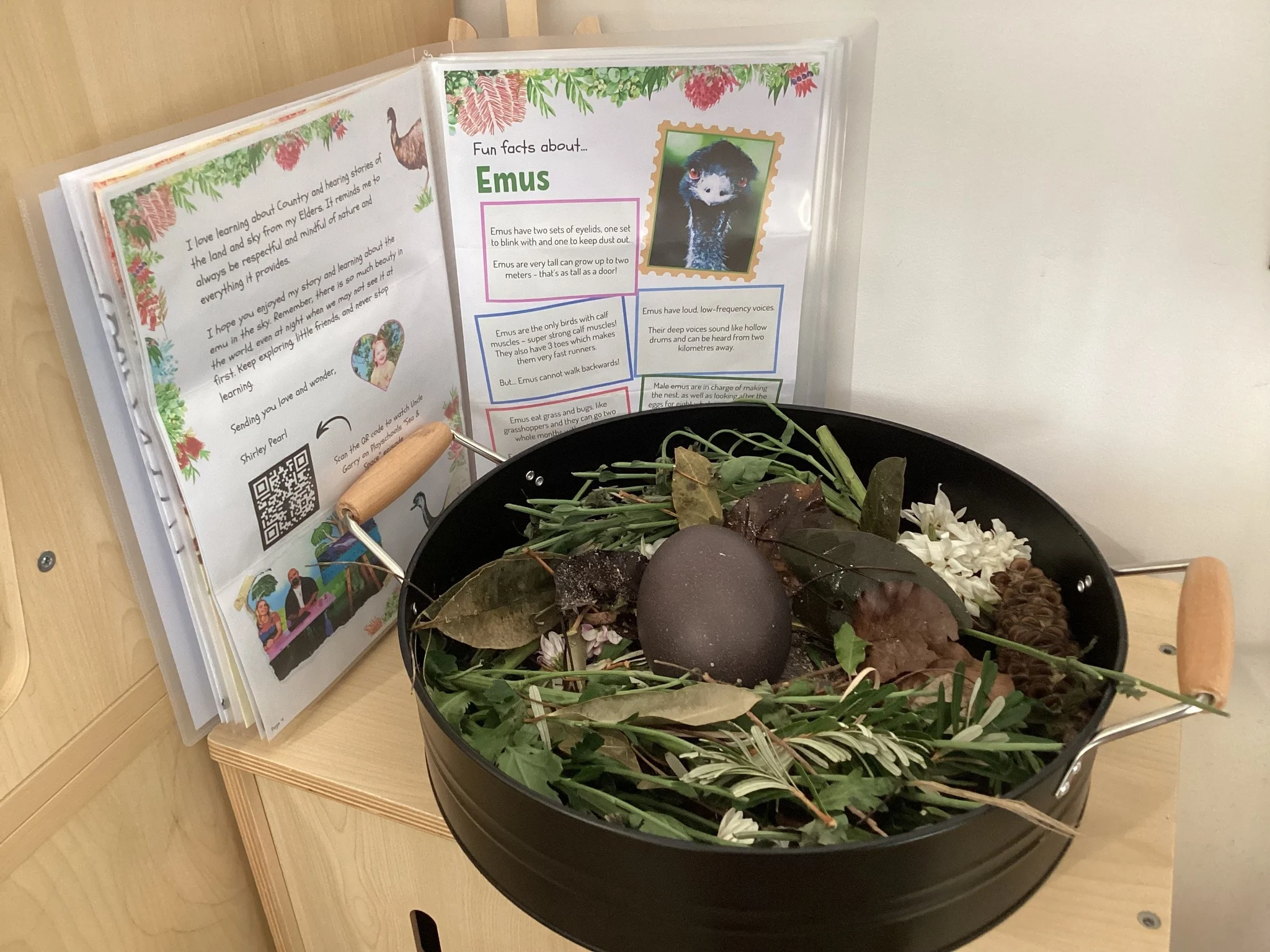 Emu nest display for learning about Country and First Nations stories